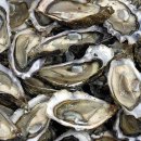 송산 파리바게트 앞 이미지