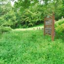 임신마을 이미지