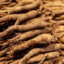 더덕이네 이미지