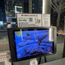 세븐일레븐 안양호계사거리점 | [안양/호계동] 안양 호계사거리 맛집 서울현방, 한우부터 특수부위까지 완벽한 고깃집! 🍖🔥