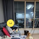 즐거운 주말 보냈어요🐶🐈🐕‍🦺 이미지