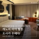 일본 오사카 우메다 호텔 추천 캐노피 바이 힐튼 5성급 후기 내돈내산