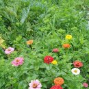 새참농장 이미지