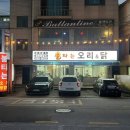 불타는 오리&닭 이미지