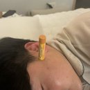 불철주야 | 노는데에는 불철주야