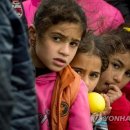 이민행정연구소 이미지