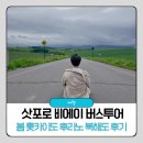 삿포로 비에이 투어 유투어버스 봄 홋카이도 후라노 북해도 후기
