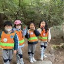 🌳10월 5주 숲 해설가 숲 체험 활동(금강공원)🌳 이미지
