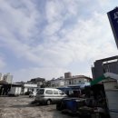 뉴인제카 이미지