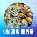 &#34;꼭 지금 먹어야 해!&#34; 9월 제철 맞아 더 맛있는 해산물 6 이미지