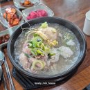 백세산삼 | 가평삼계탕 "진솔산양산삼삼계탕"