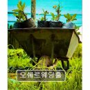카페오쉐르 | <부산 웨딩홀 추천> 오쉐르웨딩홀 부전역 1분 거리 예식장