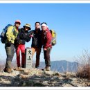 내서읍726 이미지