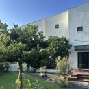 애월바다24 | 제주도 서쪽 러닝코스 애월 해안도로 달리기 코스 추천 6일간의 러닝 후기