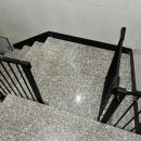 다올 그루밍 이미지