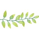 아로마로 건강한 삶 만들기 이미지