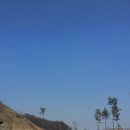 포천 포레스트힐 평일 오전 란딩하실분??? 이미지