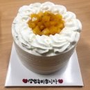 브래드 Lee