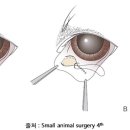 동백동물병원 이미지