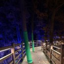 신화랑풍류숲길 | 청도 1박2일 가족 여행 신화랑풍류마을 스카이트레일 화랑지 야경