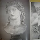 아리아스 이미지