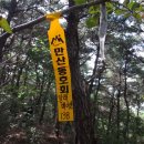 청령리 Daum카페