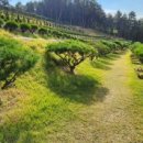 고인목장 이미지