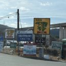 병아리체험농장 민박 | 대관령아기동물농장 아이랑 체험하기 좋은 사천여행 강릉동물원