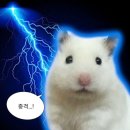 레몬약국 | 인덕원역 창고형약국마트, 올케어아울렛 온약국 후기