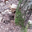 풍요의 계절 이미지