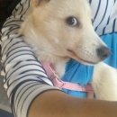 이화동물병원 이미지