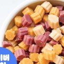 댕댕이연구소 이미지