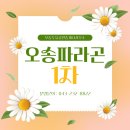 오송신흥공인중개사사무소 네이버블로그
