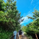 제주도 2박3일 여행코스 금오름, 로또 명당 동홍코사마트, 제주올레시장야시장, 사계전복 방문후기