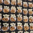 홀츠하임어린이집 이미지