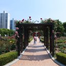 도동유교문화관1 이미지