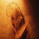 동국대학교 교육대학원 이미지