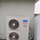 의림대로 이미지