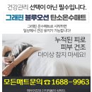 일월한일온수매트