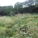 버들목장 이미지