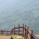 산토끼목장