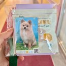 버블멍 | 민락동 애견미용 잘하는 쓰다드멍에서 포메 버블스파와 예쁜 미용