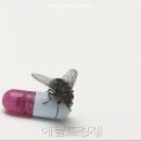 레드핫사운드 이미지
