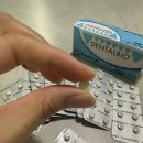 바이오덴탈 | 강아지 구강유산균 추천: 덴탈바이오 효과·급여량·주의사항 총정리