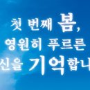 무의무