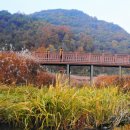 대사마을경로당 | 제천여행 충주호 청풍호 월악산 덕주사, 금수산 정방사 충주호 가볼 만한 곳