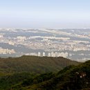 방목목장 이미지