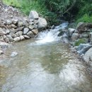 하늘숲펜션 이미지