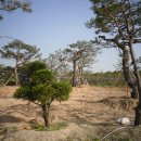 박종수농장 이미지