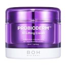 영바이오 이미지